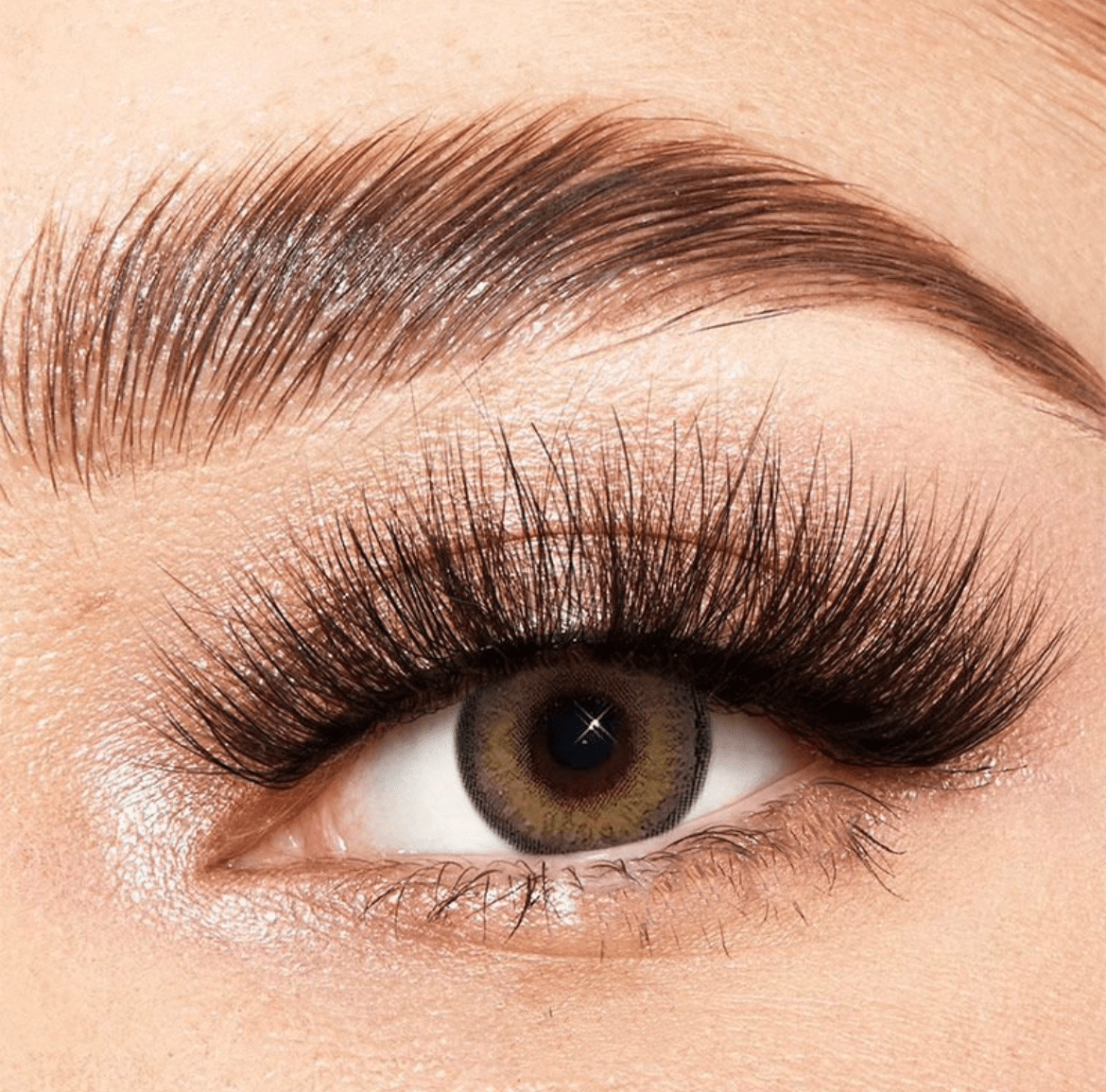 Himalaya Brown Coloured Contact Lenses - EyeCandy Cosmetics