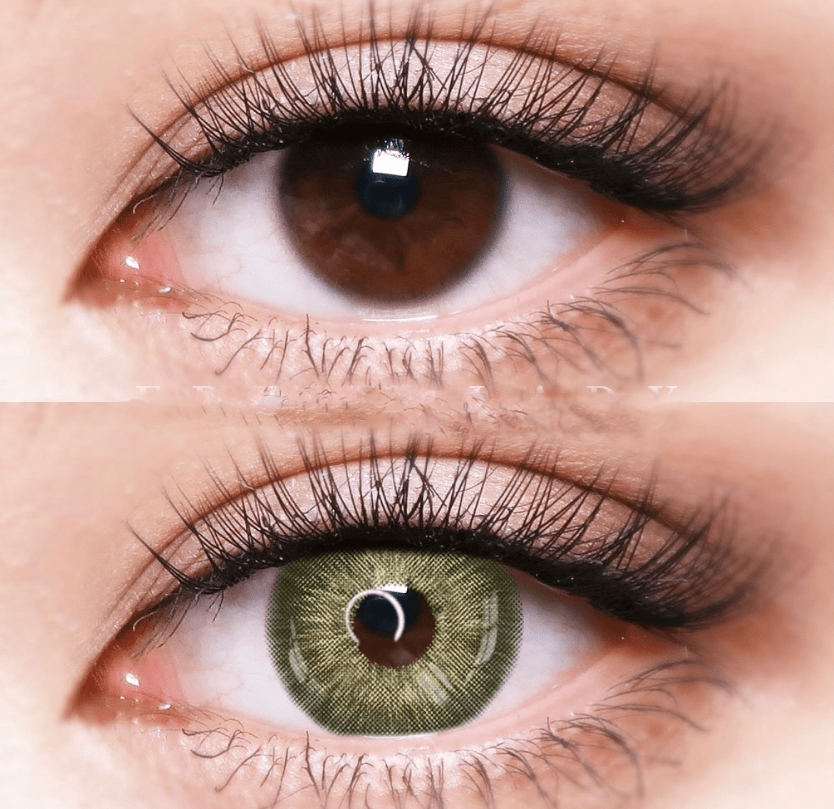 Amazonia Green Coloured Contact Lenses - EyeCandy Cosmetics