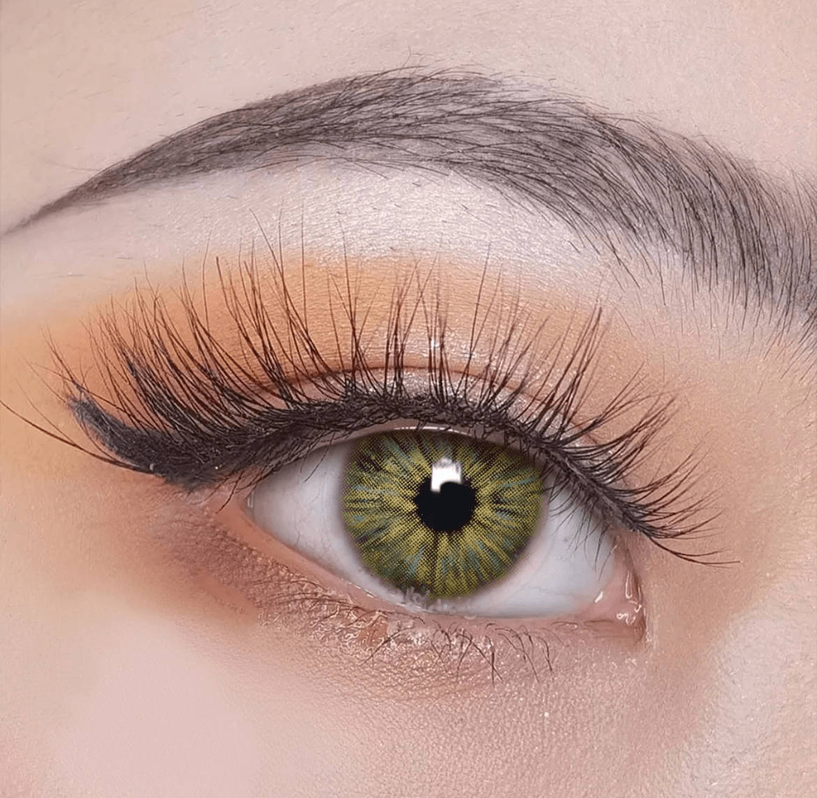 Monet Green Coloured Contact Lenses - EyeCandy Cosmetics