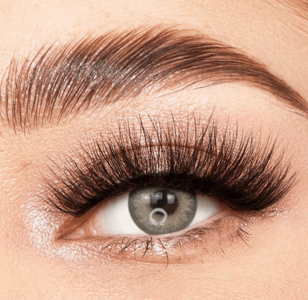 Himalaya Grey Coloured Contact Lenses - EyeCandy Cosmetics