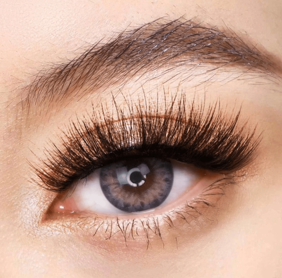 DNA Pink-Violet Coloured Contact Lenses - EyeCandy Cosmetics