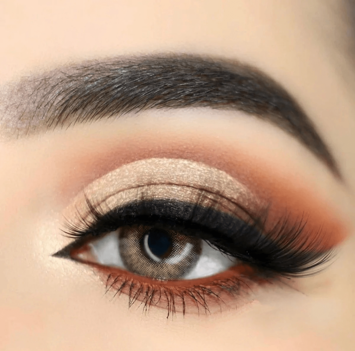 Wildcat Brown Coloured Contact Lenses - EyeCandy Cosmetics