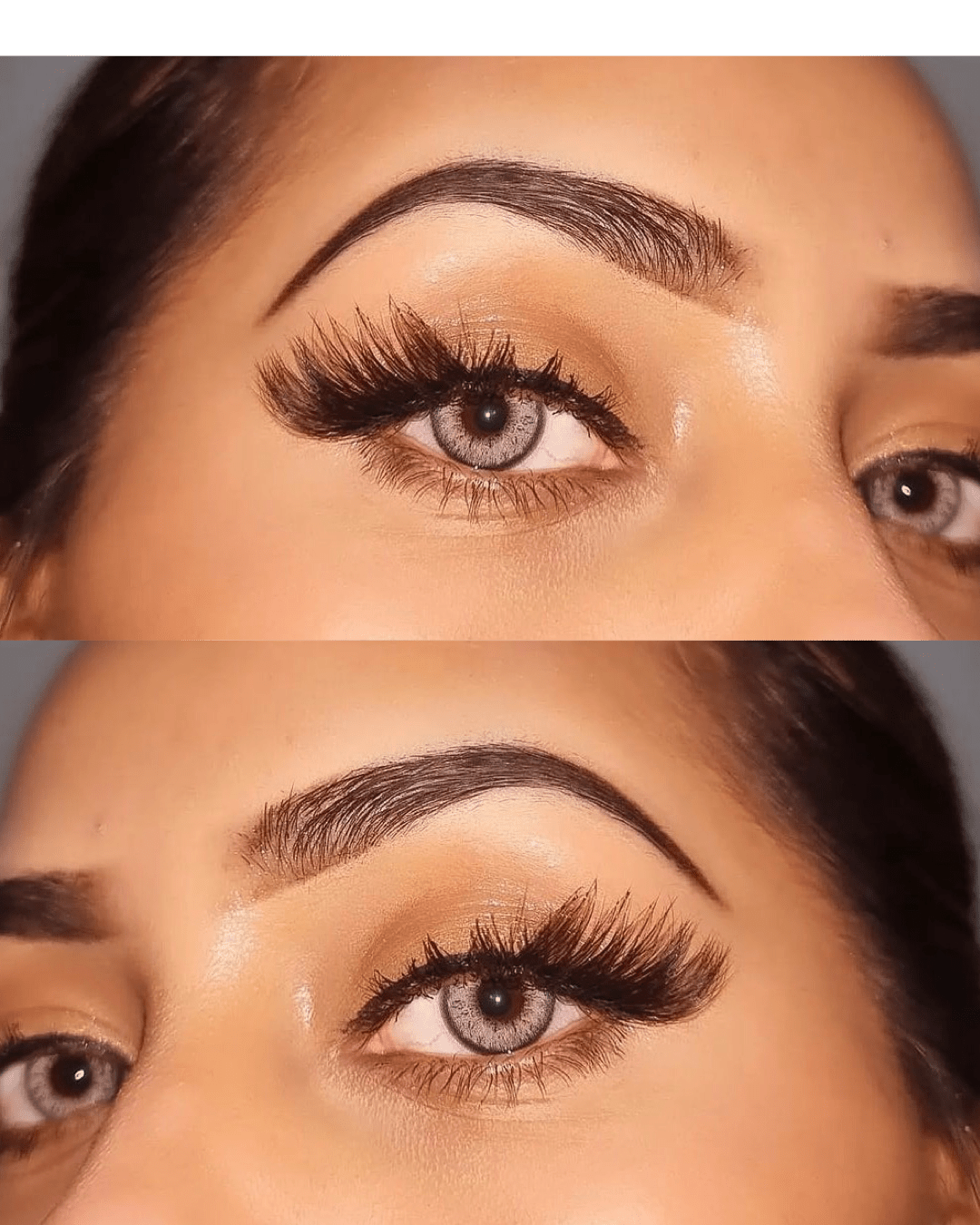 Rome Grey Coloured Contact Lenses - EyeCandy Cosmetics