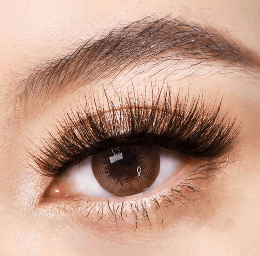 Latte Brown Coloured Contact Lenses - EyeCandy Cosmetics