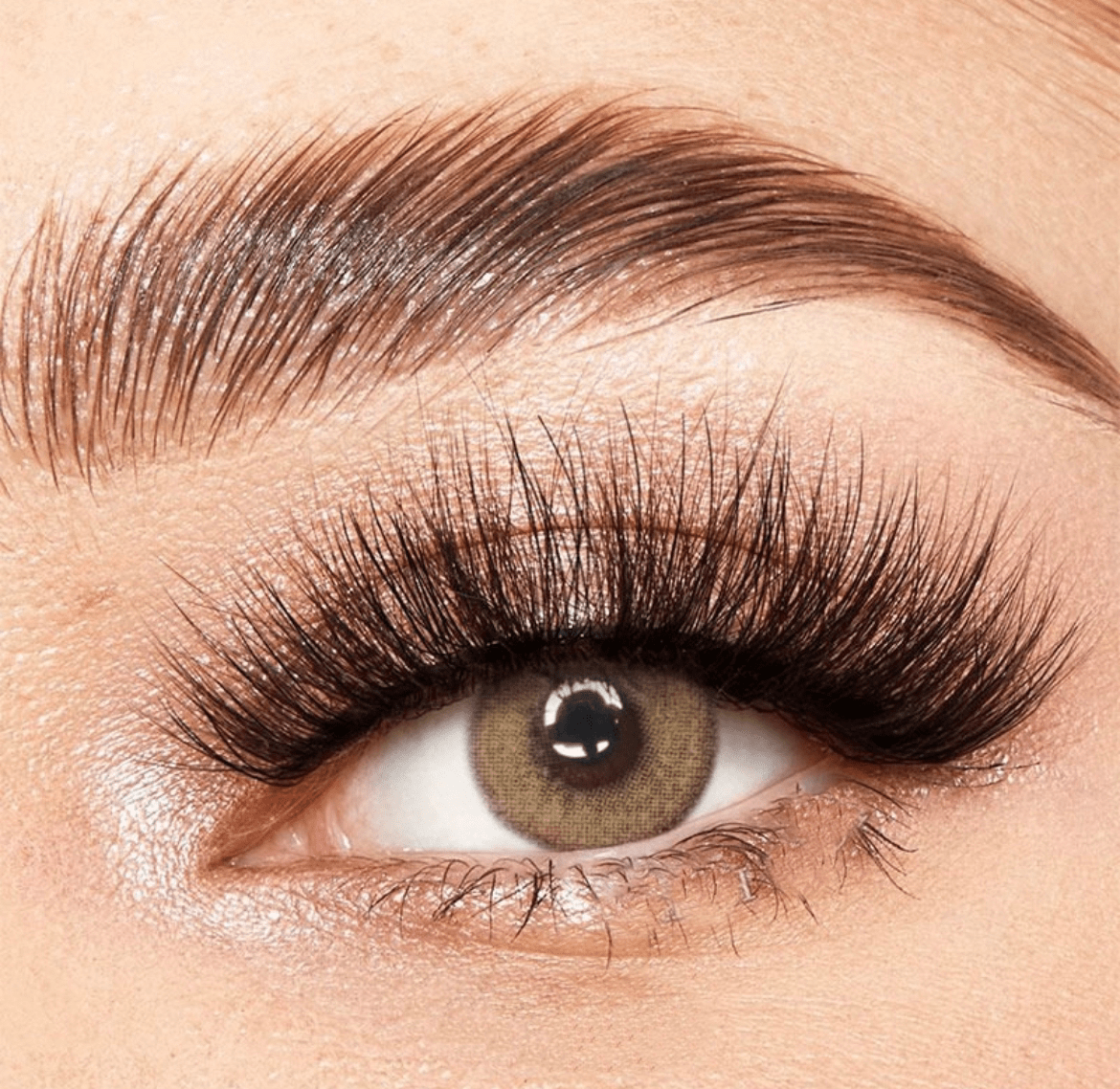Mia Brown Coloured Contact Lenses - EyeCandy Cosmetics