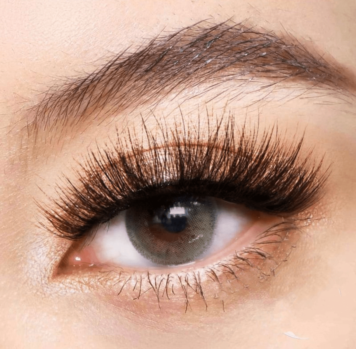 Olivine Green Coloured Contact Lenses - EyeCandy Cosmetics