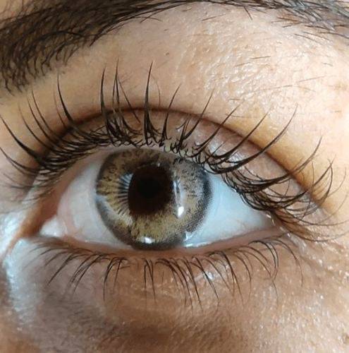 Rome Brown Coloured Contact Lenses - EyeCandy Cosmetics