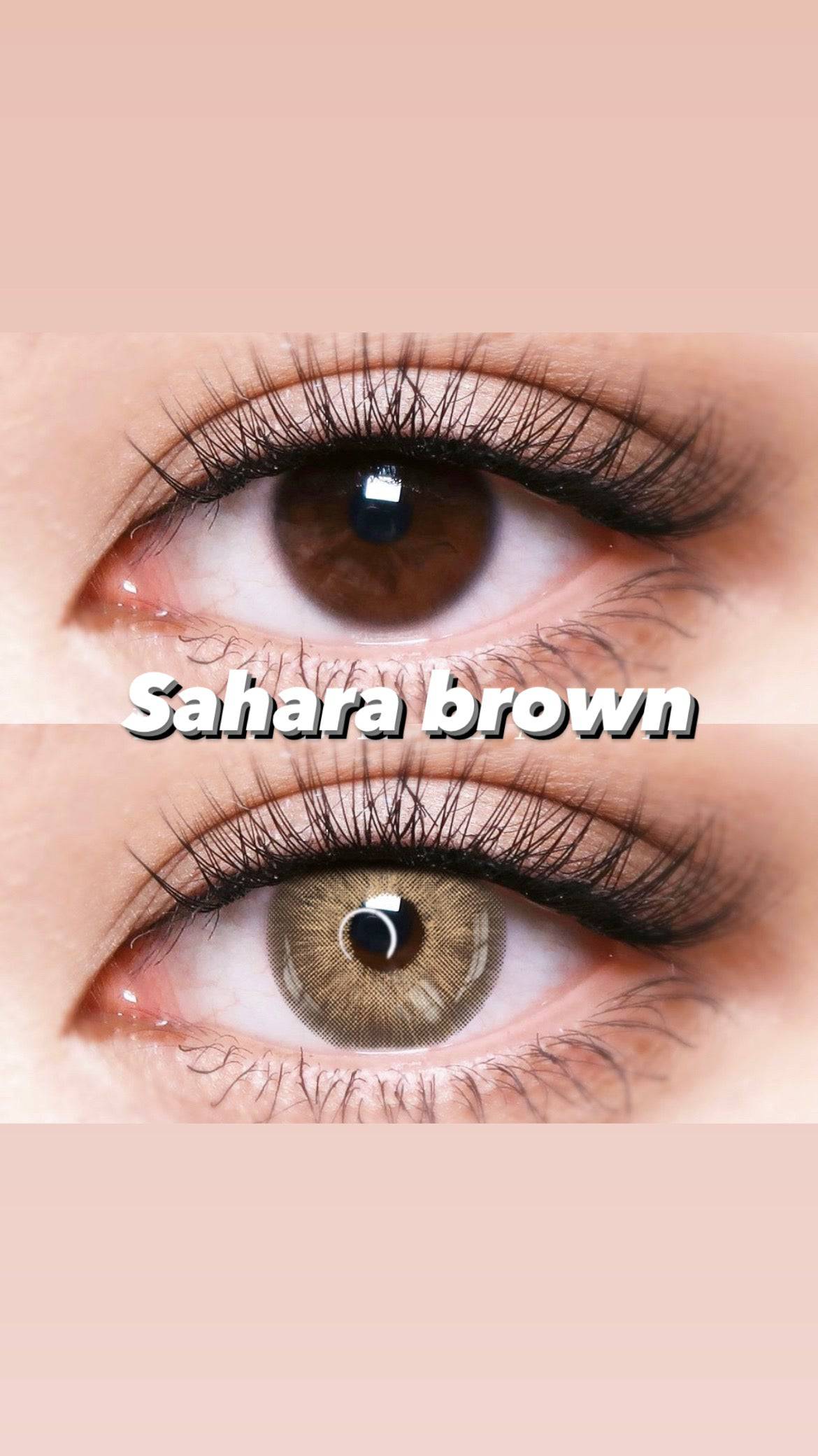 Sahara Brown Coloured Contact Lenses - EyeCandy Cosmetics