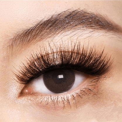 Chocolate Brown Coloured Contact Lenses - EyeCandy Cosmetics